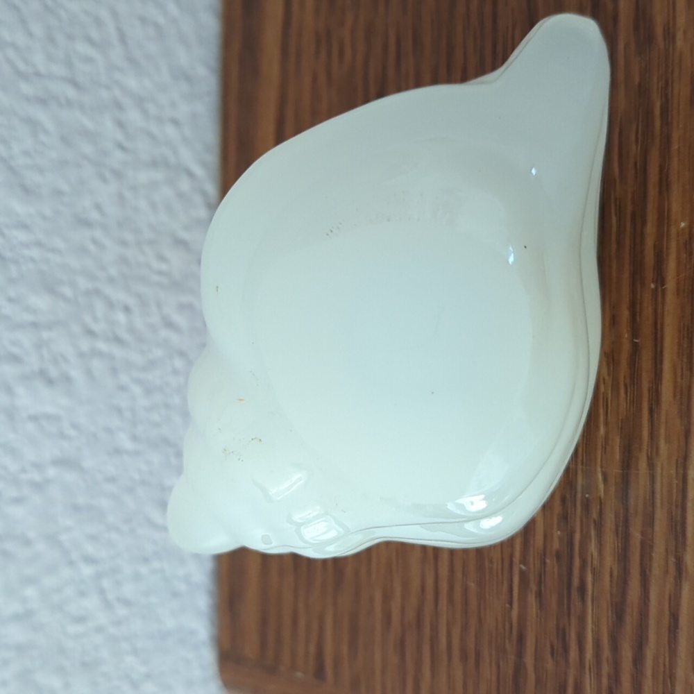 Glass Seashell Paperweight Decor - Picture 4 of 4